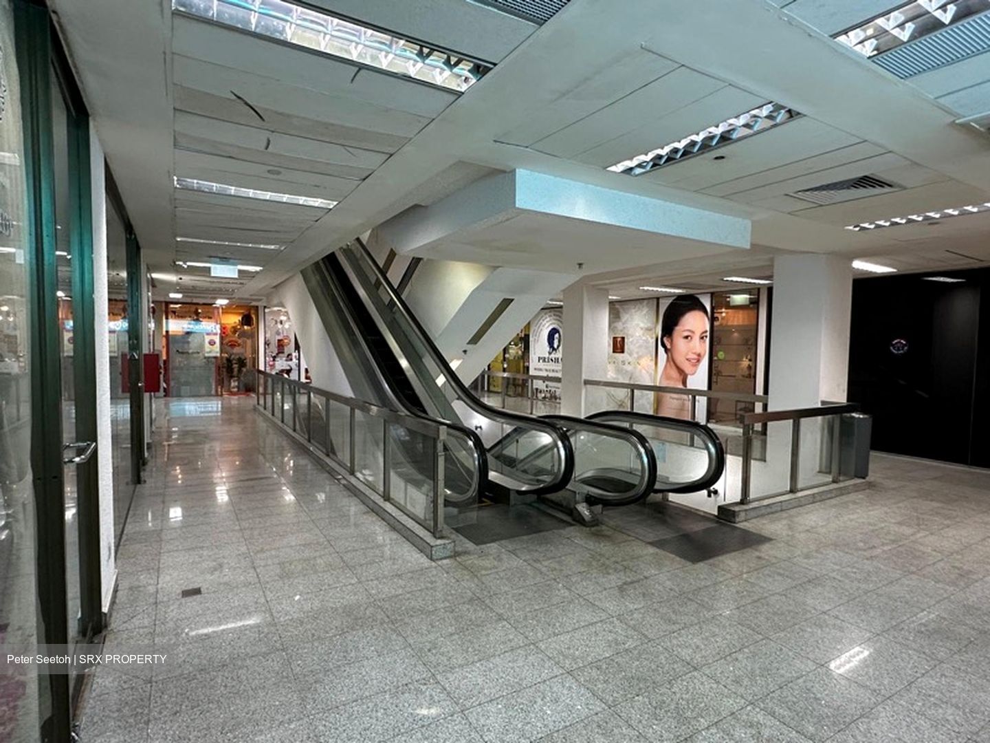 Midpoint Orchard (D9), Shop House #485143521